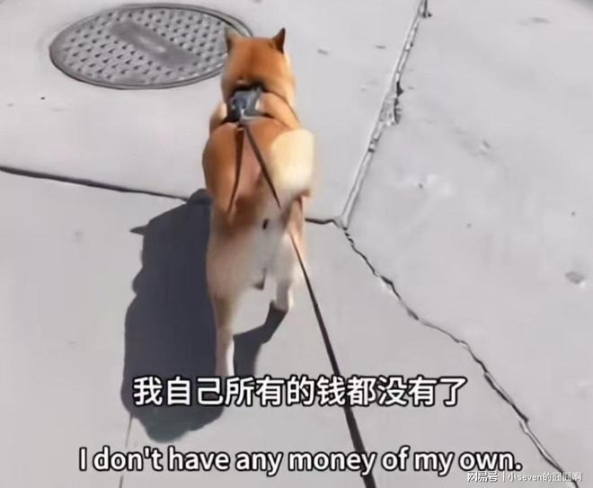 Trịnh Sảng đăng hình than hết tiền. Cư dân mạng phát hiện địa chỉ IP ở Trung Quốc, không phải ở Mỹ.