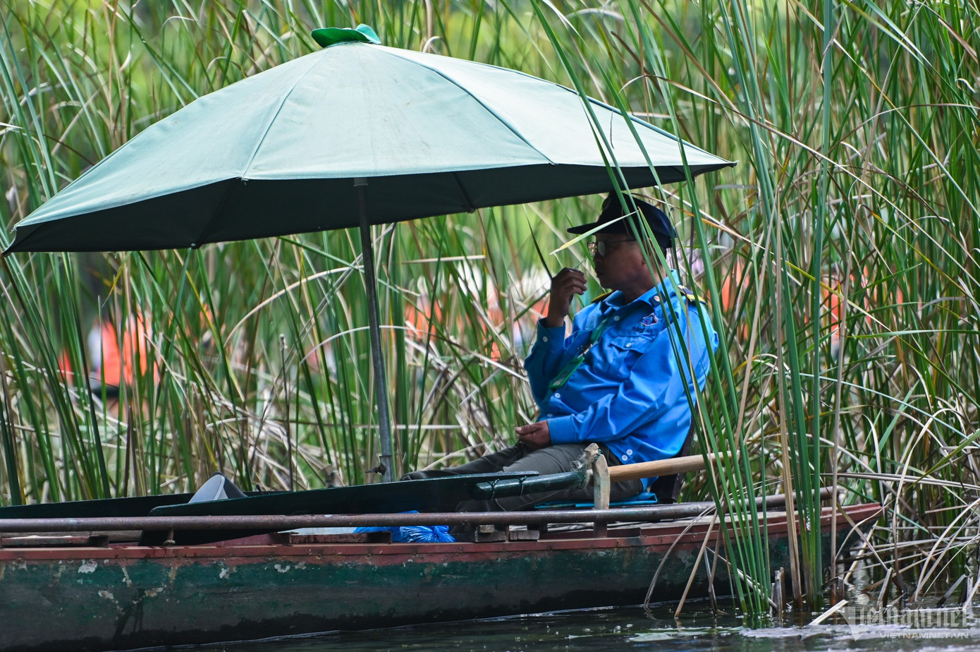 Thuyền của đội an ninh được neo trong những lùm cỏ, trang bị thêm ô lớn để tiện theo dõi hoạt động của thuyền bè khác trong ngày đông khách.