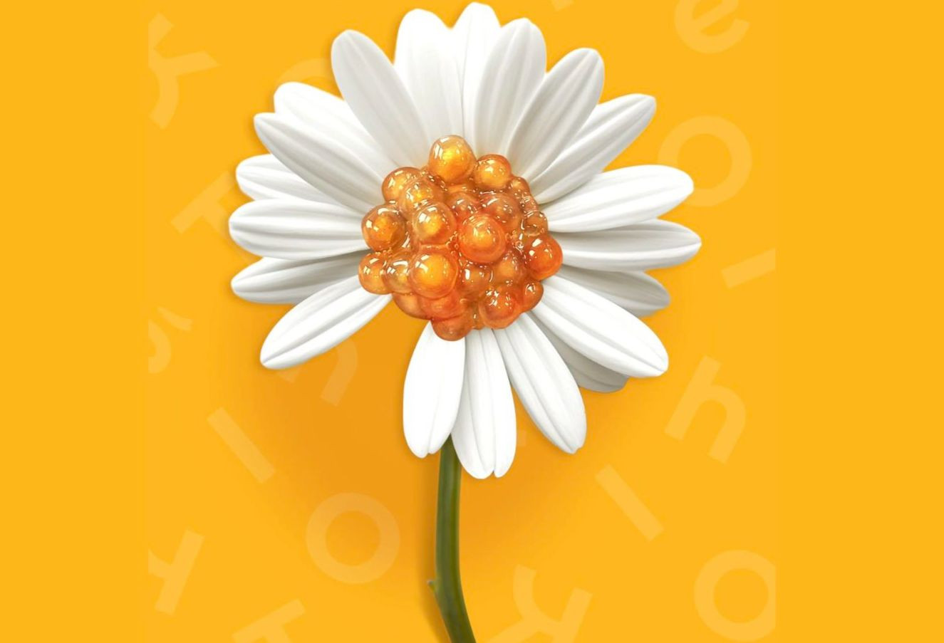 Mạng xã hội nở rộ hoa cúc khi các thương hiệu, người nổi tiếng &quot;đu trend&quot; hoa cúc thiếu cánh của G-Dragon.