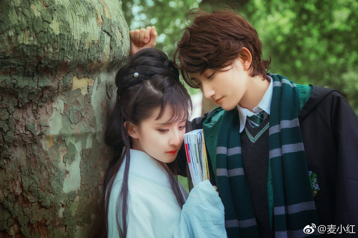 Voldemort (trong Harry Potter) và Lâm Đại Ngọc (tiểu thuyết Hồng lâu mộng) thu hút nhiều khán giả &quot;đẩy thuyền&quot;.