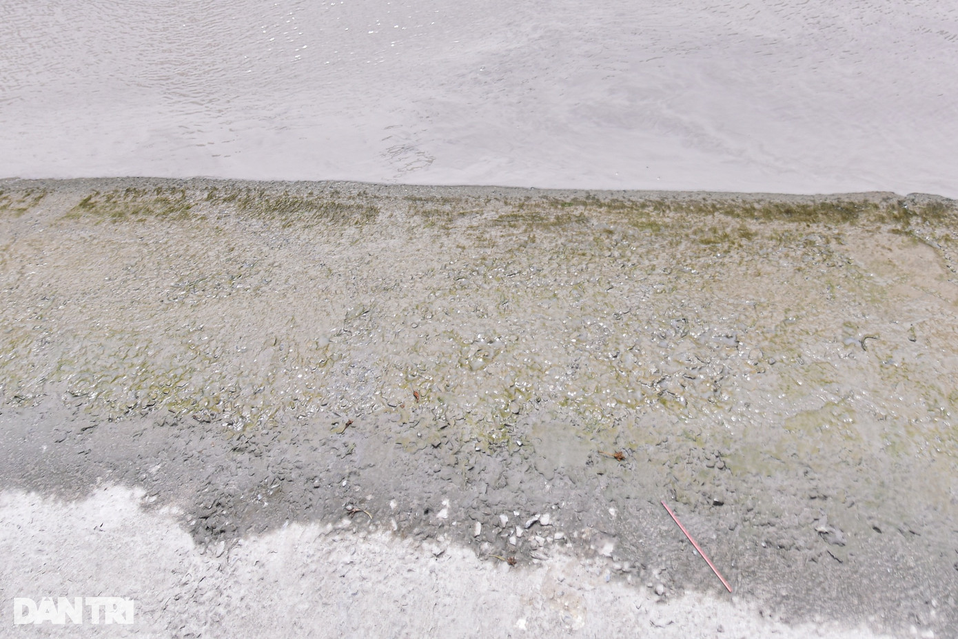 Nước ứ đọng lâu ngày nên dọc 2 bên vỉa hè tuyến đường này bị rong rêu bao phủ, mặt đường trơn trượt khiến người dân thường xuyên bị té ngã.