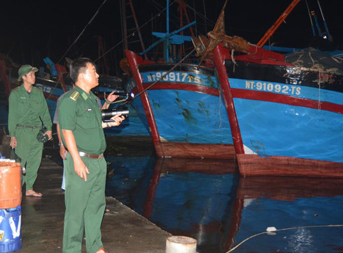 Nhiều người thiệt mạng vì bão Damrey quét qua ảnh 88