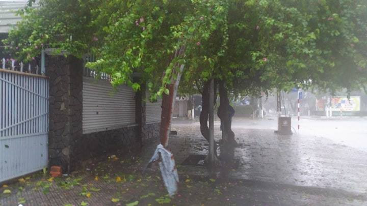 Nhiều người thiệt mạng vì bão Damrey quét qua ảnh 71