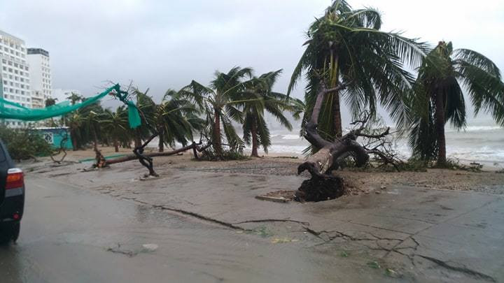 Nhiều người thiệt mạng vì bão Damrey quét qua ảnh 38