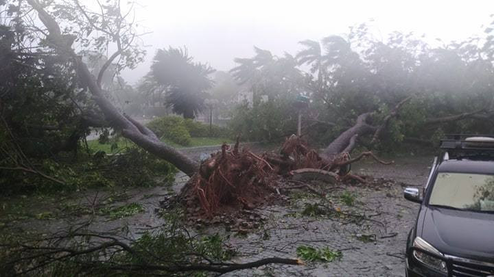 Nhiều người thiệt mạng vì bão Damrey quét qua ảnh 46