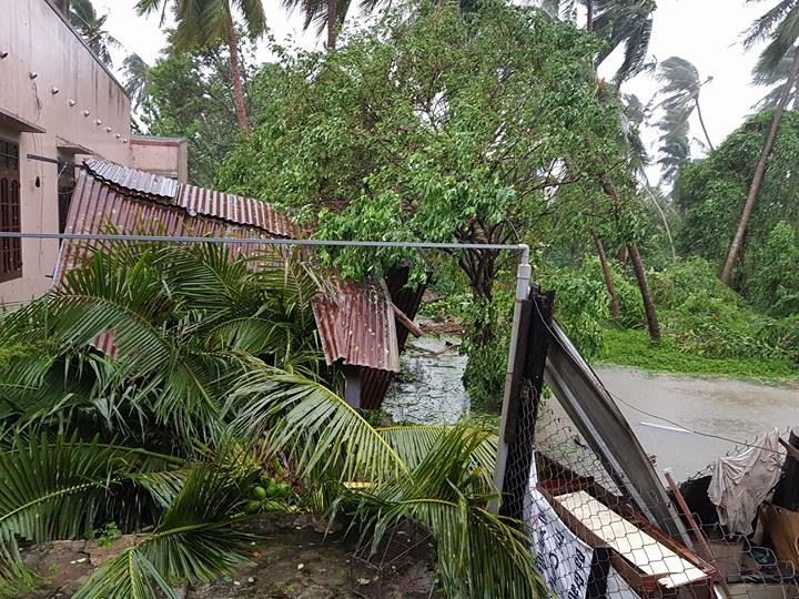 Nhiều người thiệt mạng vì bão Damrey quét qua ảnh 53