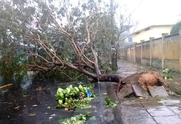 Nhiều người thiệt mạng vì bão Damrey quét qua ảnh 49