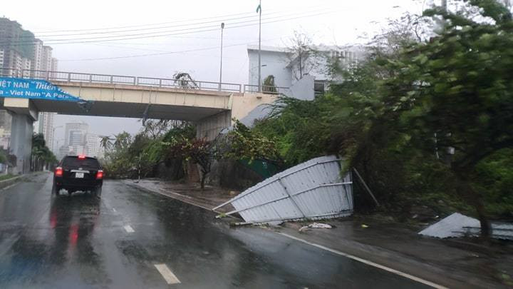 Nhiều người thiệt mạng vì bão Damrey quét qua ảnh 39