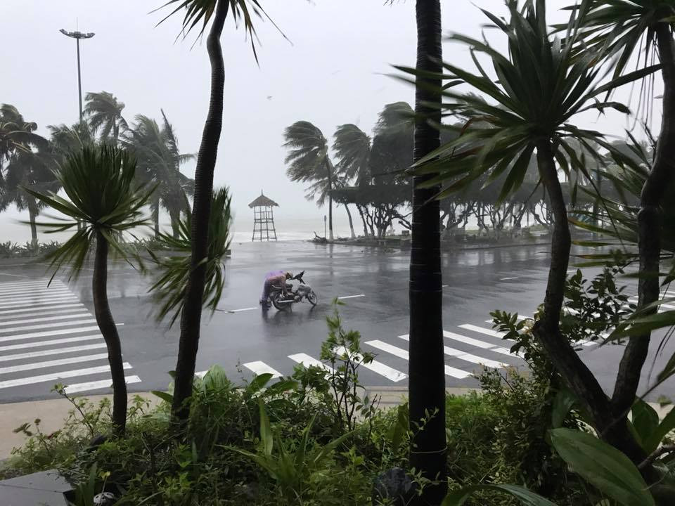 Nhiều người thiệt mạng vì bão Damrey quét qua ảnh 76