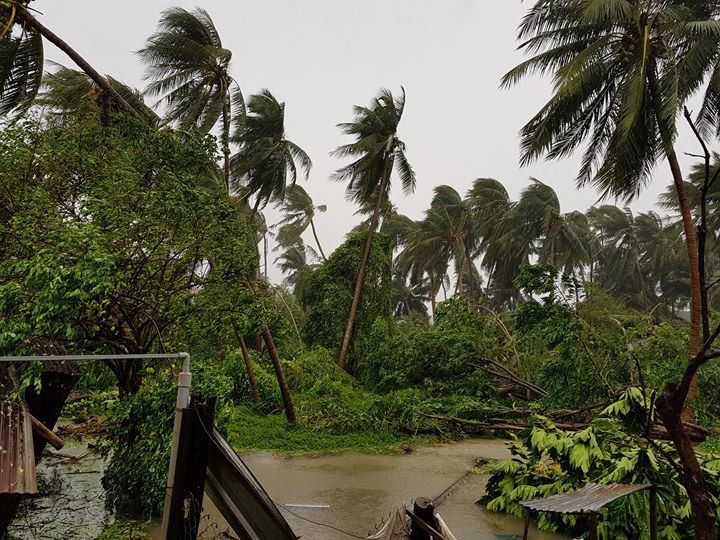 Nhiều người thiệt mạng vì bão Damrey quét qua ảnh 55