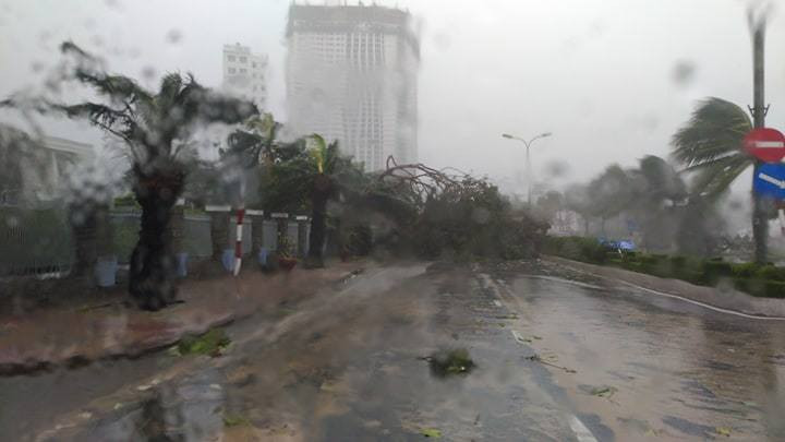 Nhiều người thiệt mạng vì bão Damrey quét qua ảnh 48