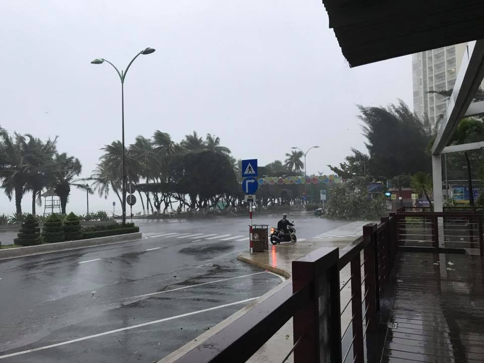 Nhiều người thiệt mạng vì bão Damrey quét qua ảnh 74