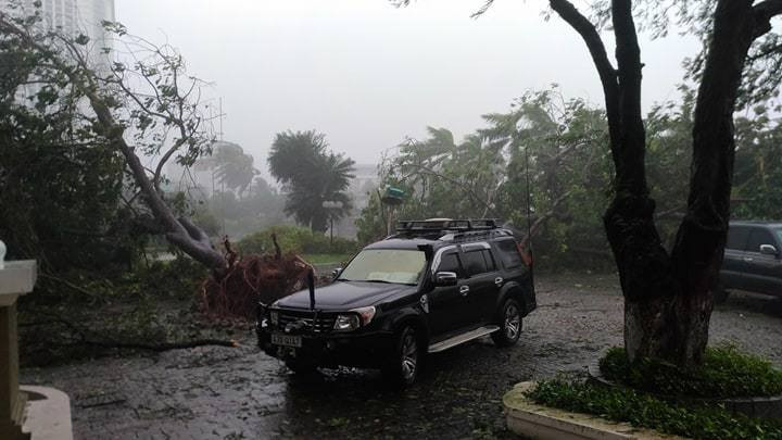 Nhiều người thiệt mạng vì bão Damrey quét qua ảnh 47