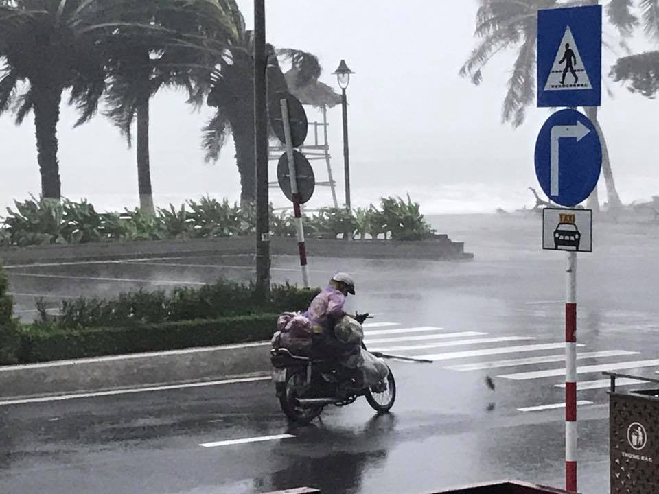 Nhiều người thiệt mạng vì bão Damrey quét qua ảnh 75