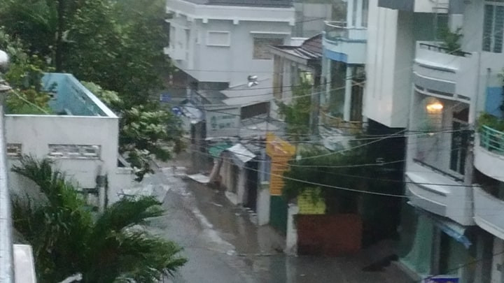 Nhiều người thiệt mạng vì bão Damrey quét qua ảnh 86