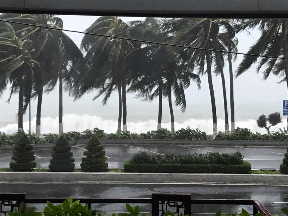 Nhiều người thiệt mạng vì bão Damrey quét qua ảnh 79