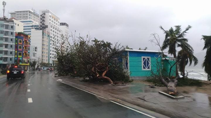 Nhiều người thiệt mạng vì bão Damrey quét qua ảnh 37