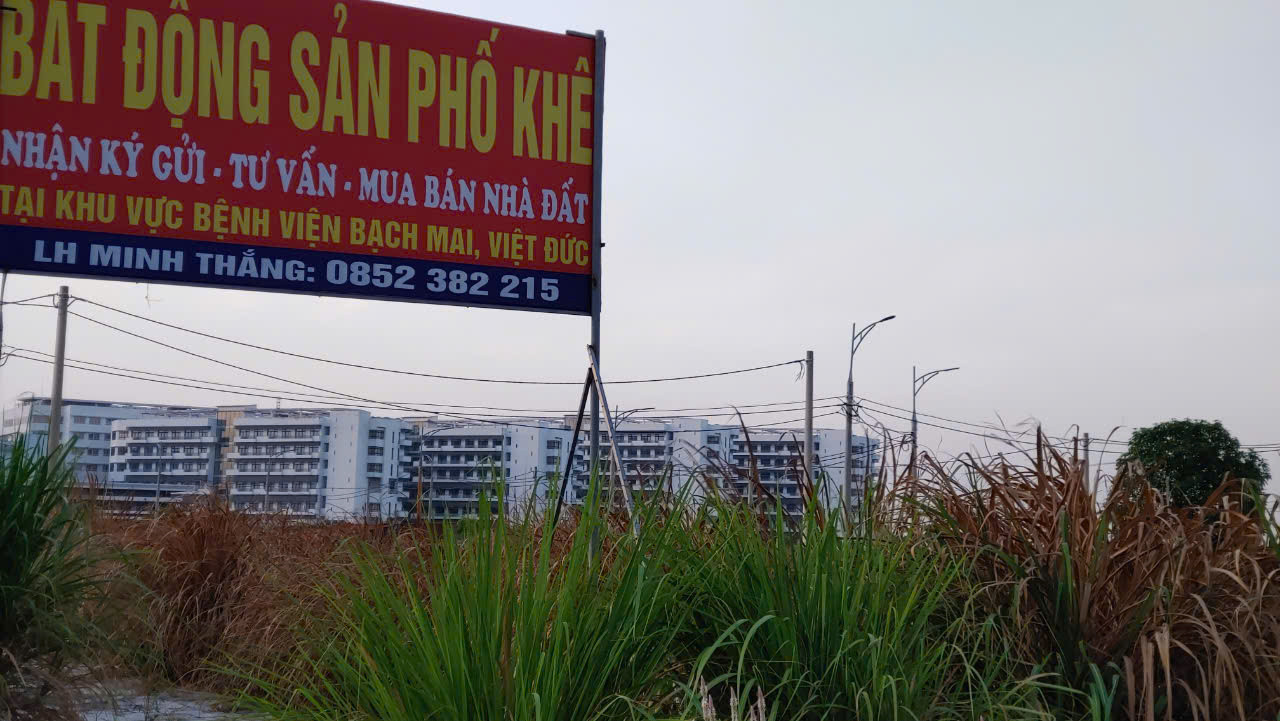 Nhiều tấm biển quảng cáo tư vấn, giao dịch đất đai mọc lên tại dự án.