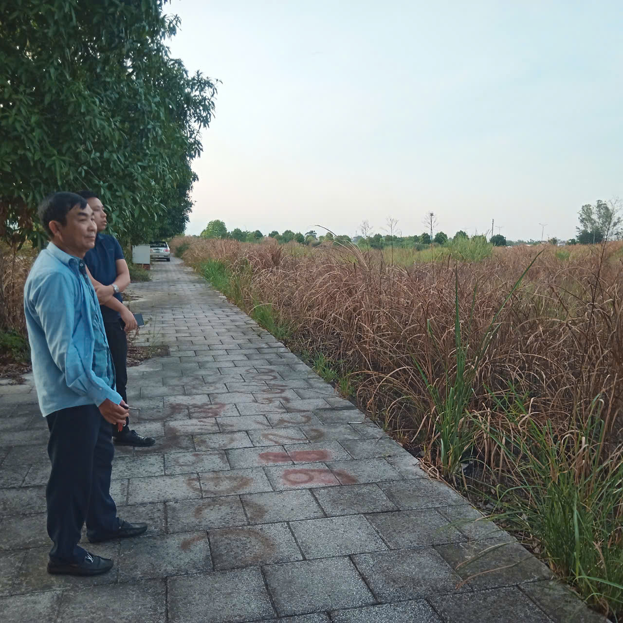 Một người môi giới nhà đất quảng cáo, rao bán một số lô đất của dự án.