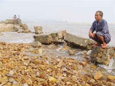 Ông Dư ngao ngán trước cảnh tan hoang của hồ cá gia đình