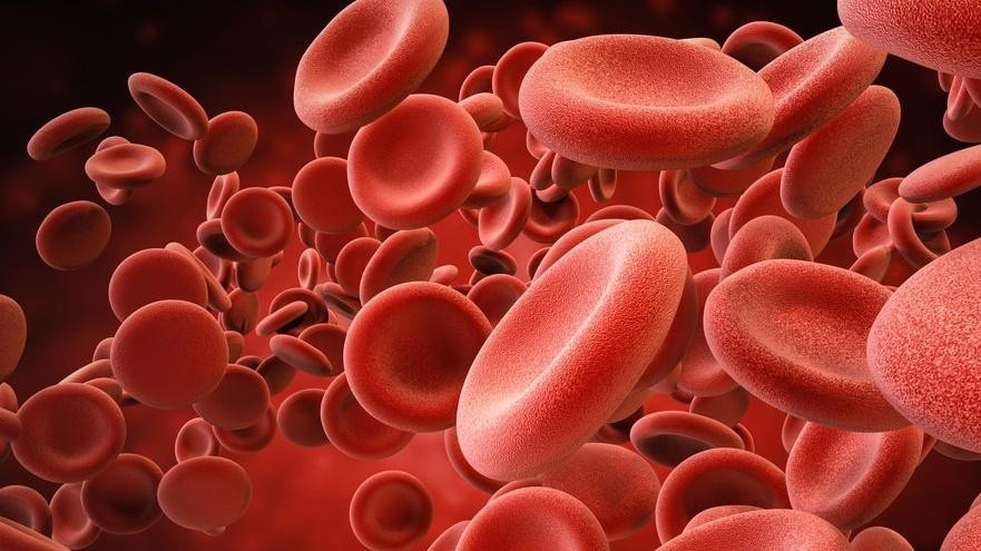 Quá trình tạo máu, hay còn gọi là hematopoiesis, là một hoạt động sinh học kỳ diệu diễn ra liên tục trong tủy xương. Để sản xuất ra các tế bào máu chất lượng và đủ số lượng, cơ thể cần một nguồn cung cấp đa dạng và đầy đủ các vi chất dinh dưỡng. Ảnh minh họa: Internet Quá trình tạo máu, hay còn gọi là hematopoiesis, là một hoạt động sinh học kỳ diệu diễn ra liên tục trong tủy xương. Để sản xuất ra các tế bào máu chất lượng và đủ số lượng, cơ thể cần một nguồn cung cấp đa dạng và đầy đủ các vi chất dinh dưỡng. Ảnh minh họa: Internet