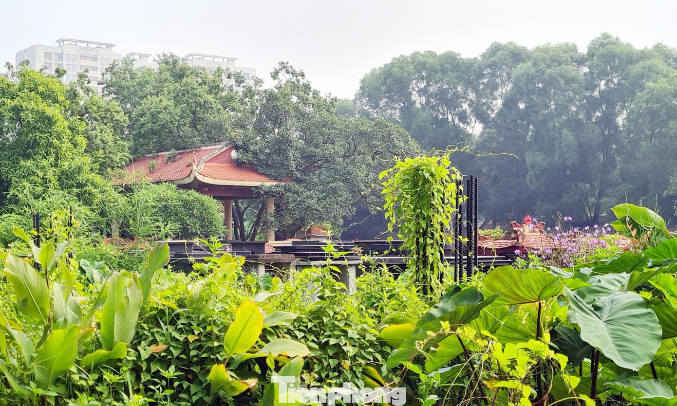 "Trong quy hoạch các khu đô thị, chỉ tiêu về hạ tầng kỹ thuật, hạ tầng xã hội đã được cân đối. Tuy nhiên, nhiều chủ đầu tư chỉ chăm chăm xây nhà để bán và không xây trường học cho dân dẫn đến tình trạng thiếu trường học trầm trọng. Không phải ai cũng có tiền cho con đi học trường tư đắt đỏ, nếu phải bốc thăm may rủi để được cho con đi học trường công thì vô cùng lo ngại", một cư dân khu đô thị Linh Đàm lo lắng. "Trong quy hoạch các khu đô thị, chỉ tiêu về hạ tầng kỹ thuật, hạ tầng xã hội đã được cân đối. Tuy nhiên, nhiều chủ đầu tư chỉ chăm chăm xây nhà để bán và không xây trường học cho dân dẫn đến tình trạng thiếu trường học trầm trọng. Không phải ai cũng có tiền cho con đi học trường tư đắt đỏ, nếu phải bốc thăm may rủi để được cho con đi học trường công thì vô cùng lo ngại", một cư dân khu đô thị Linh Đàm lo lắng.