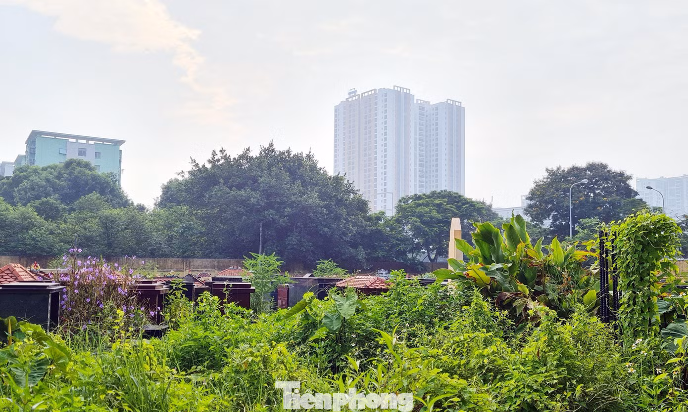 Nguyên nhân chậm triển khai xây dựng các trường học chủ yếu do vướng mắc trong công tác bồi thường GPMB, các thủ tục liên quan đến quy hoạch, đầu tư xây dựng.
