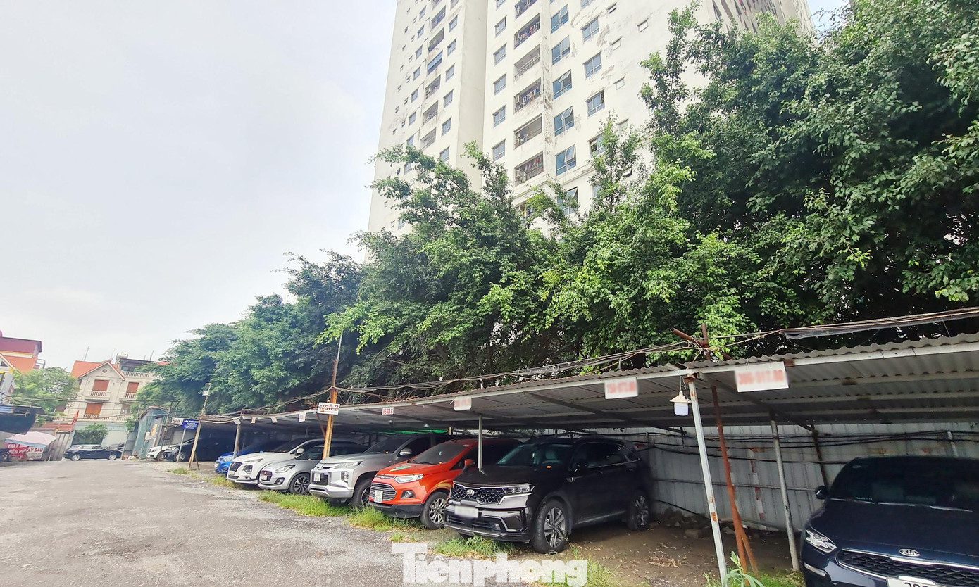 Hay tại khu đất ký hiệu CC6B Tây Nam Linh Đàm có diện tích 13.000m2 giao cho Tổng Công ty HUD được quy hoạch xây dựng trường học nhưng nhiều năm nay chưa thực hiện. Hay tại khu đất ký hiệu CC6B Tây Nam Linh Đàm có diện tích 13.000m2 giao cho Tổng Công ty HUD được quy hoạch xây dựng trường học nhưng nhiều năm nay chưa thực hiện.