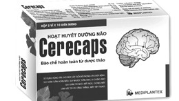 Thiểu năng tuần hoàn não ảnh 1