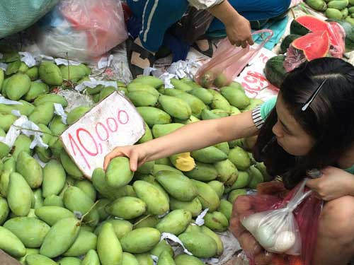 Hoa quả 5 ngàn/kg đổ đống khắp vỉa hè Hà Nội ảnh 6