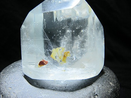 Bởi trong quá trình hóa đá, Topa ngậm trong lòng một đôi cá trống mái rất đẹp