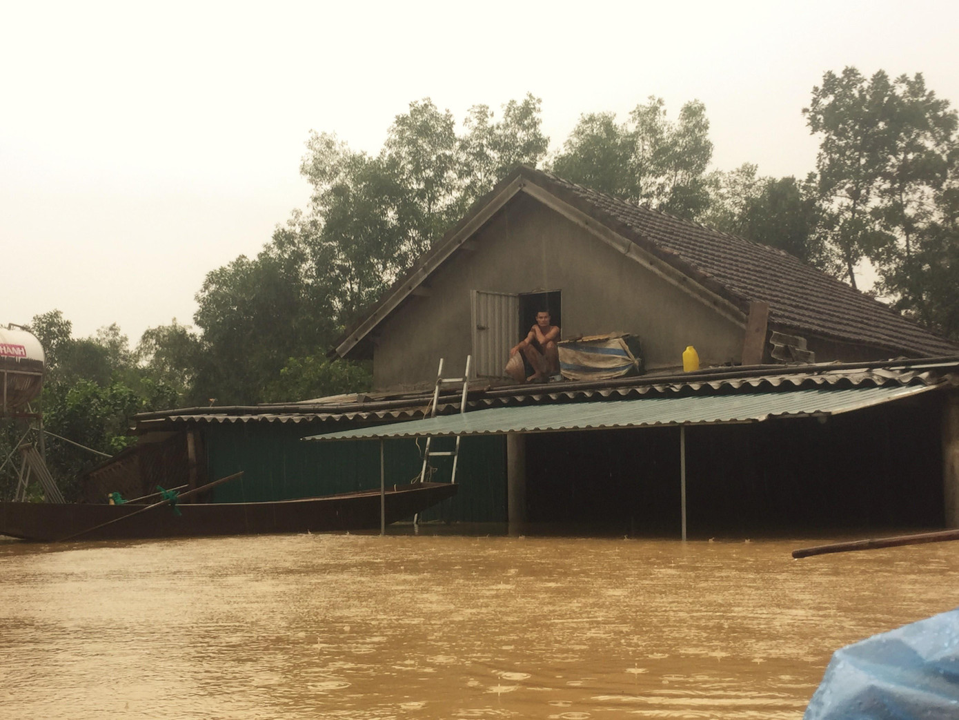 Mưa lũ khiến 5 người chết, người trồng bưởi đặc sản lo tổn thất trăm bề ảnh 1