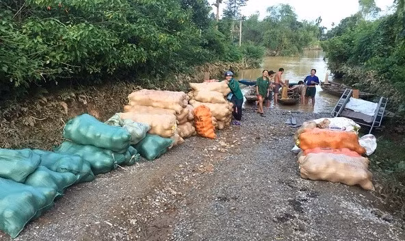 Mưa lũ khiến 5 người chết, người trồng bưởi đặc sản lo tổn thất trăm bề ảnh 11