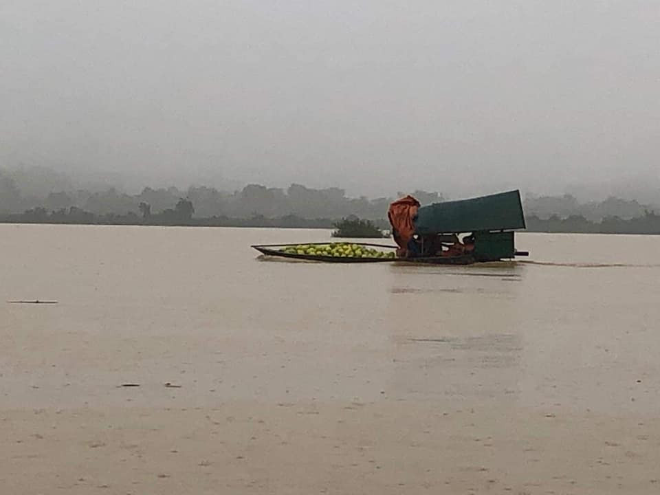 Mưa lũ khiến 5 người chết, người trồng bưởi đặc sản lo tổn thất trăm bề ảnh 8