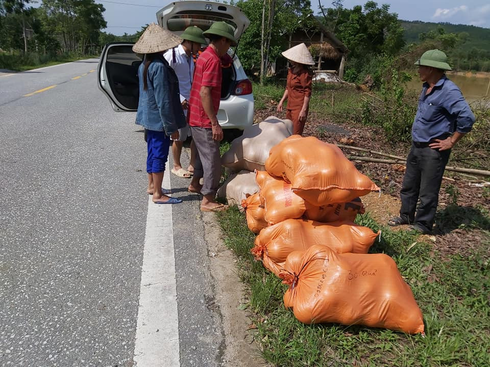 Mưa lũ khiến 5 người chết, người trồng bưởi đặc sản lo tổn thất trăm bề ảnh 9