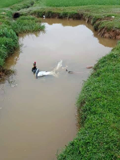 Phát hiện thi thể nam thanh niên cùng xe máy dưới mương nước ảnh 1