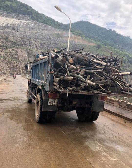 Nhà máy thủy điện Bản Vẽ dọn rác trong lòng hồ ảnh 1