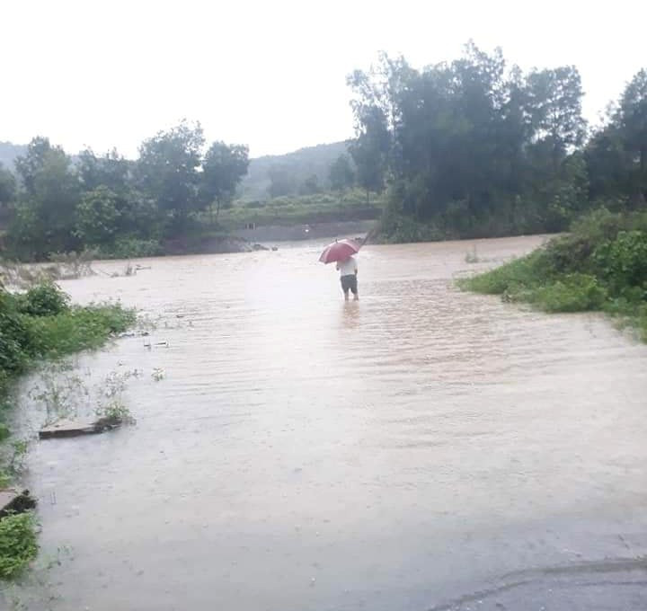 Mưa lớn nhấn chìm hoa màu, chia cắt giao thông ở Nghệ An ảnh 1
