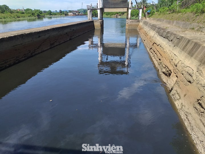 Nước sông Đào đen ngòm, bốc mùi hôi thối khiến cá chết nổi lềnh bềnh ảnh 5