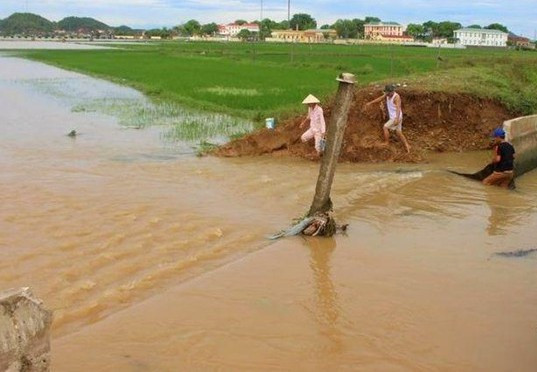Vỡ kênh mương, hàng trăm hộ dân Nghệ An bị ngập sâu ảnh 1