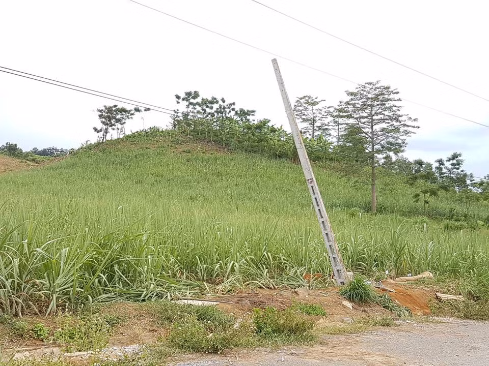 Nạn nhân bàng hoàng kể thời khắc điện giật chết 4 người tại Nghệ An ảnh 2