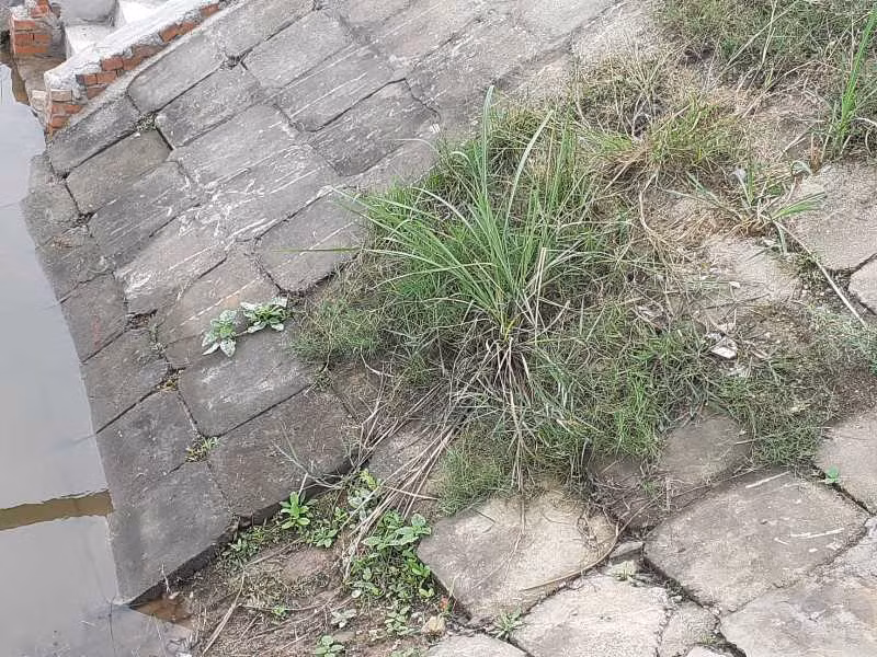 Nhà máy nước chục tỷ ì ạch, gần nghìn dân 'khát' nước sạch ảnh 8
