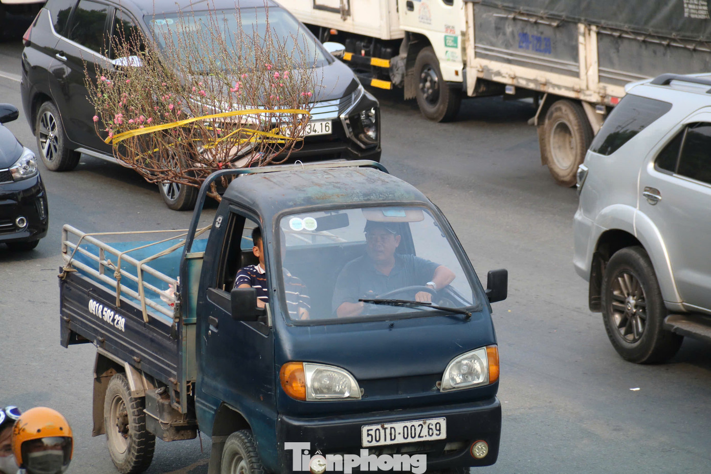Mùa xuân đang về rất gần trên khắp nẻo đường TPHCM.