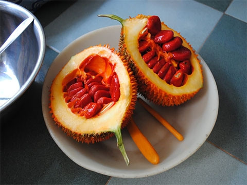 4 bài thuốc chữa bệnh nổi tiếng công hiệu từ quả gấc ảnh 1