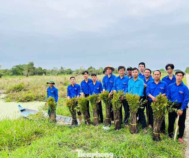 Bạn trẻ trồng cây xanh “Sức sống xanh - Vì Cà Mau xanh”.