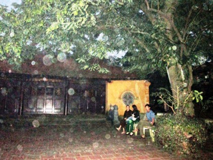 "Đại lão sưa" 400 năm tuổi bị chặt trộm cành.