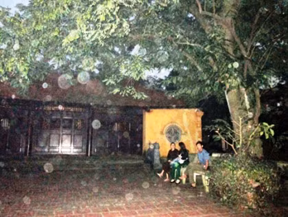 "Đại lão sưa" 400 năm tuổi bị chặt trộm cành. "Đại lão sưa" 400 năm tuổi bị chặt trộm cành.