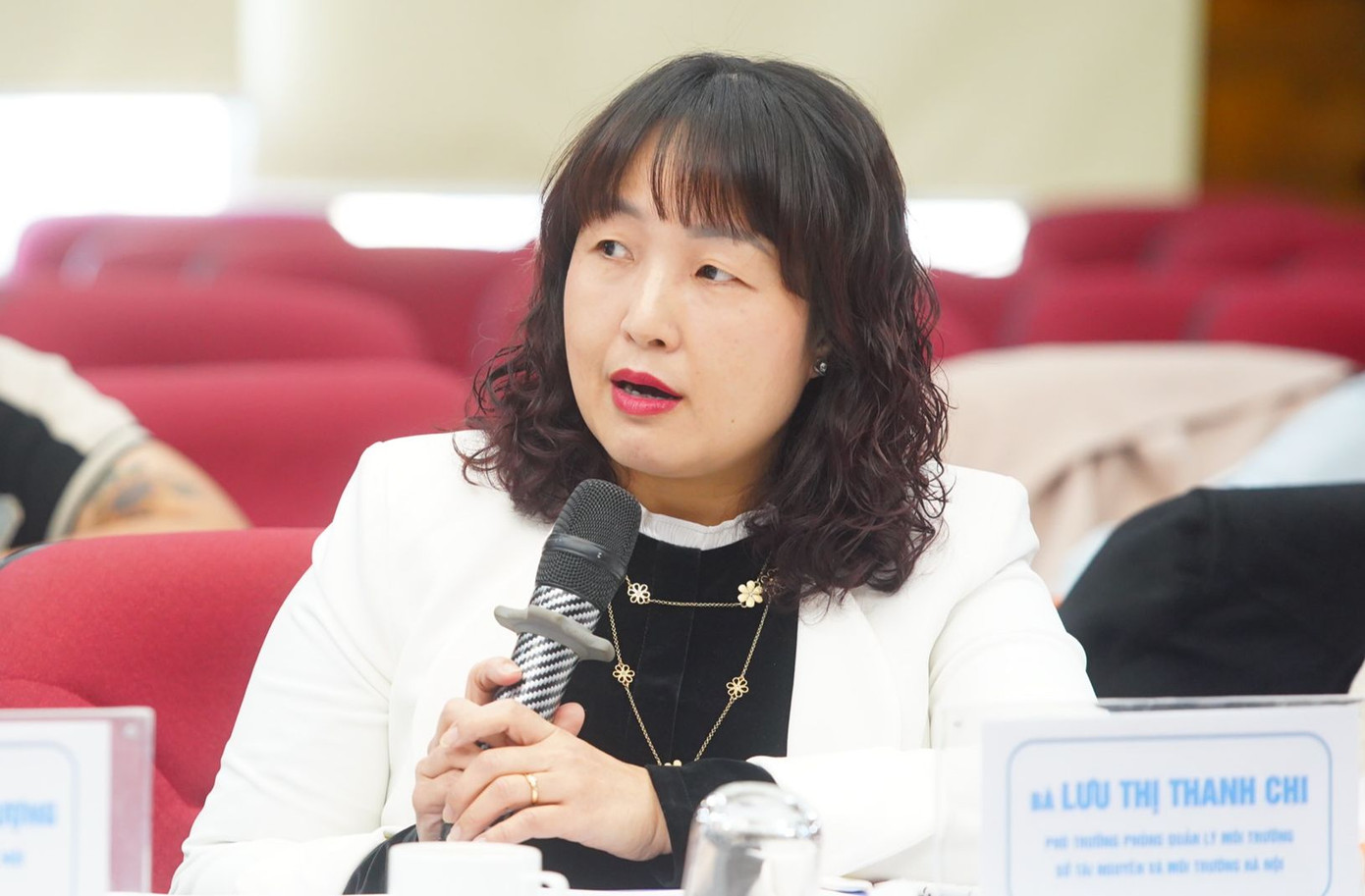 Bà Lưu Thị Thanh Chi. Bà Lưu Thị Thanh Chi.