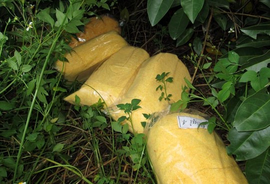 Kinh hoàng ruốc bẩn làm từ thịt gà thối ảnh 3