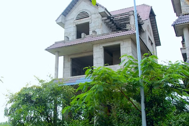 Biệt thự tiền tỷ thành nhà nuôi yến, chuồng gà giữa Sài Gòn ảnh 6
